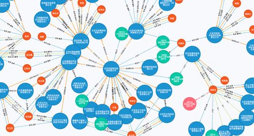 公開數(shù)據(jù)透明化 預(yù)見未來的無限可能